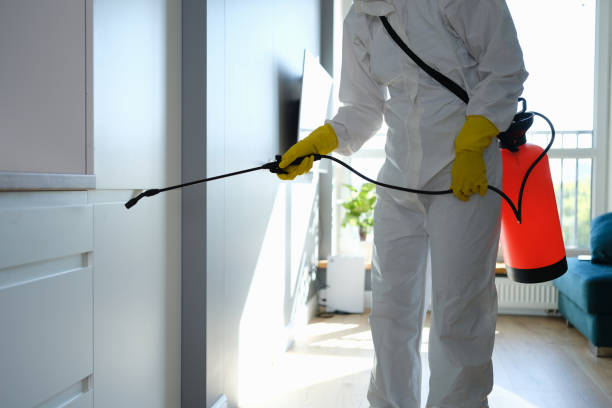 Seasonal Pest Control in Prosper, TX